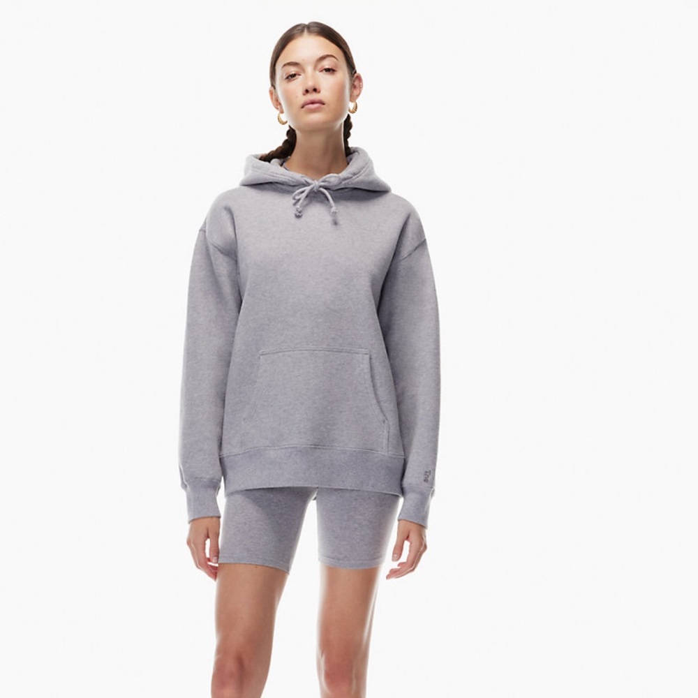 Tna Aritzia Cozy Fleece Boyfriend Hoodie